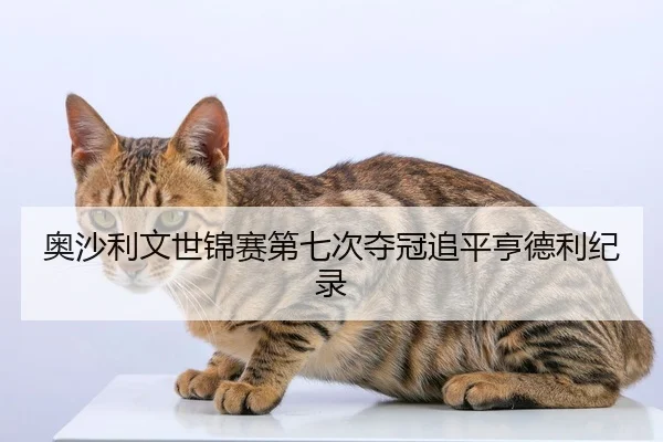 奥沙利文世锦赛第七次夺冠追平亨德利纪录