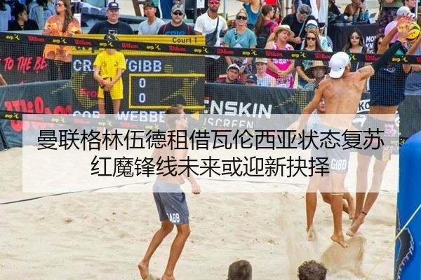 man-lian-ge-lin-wu-de-zu-jie-wa-lun-xi-ya-zhuang-tai-fu-su-hong-mo-feng-xian-wei-lai-huo-ying-xin-jue-ze-2-343.jpg