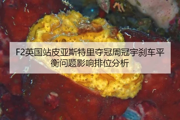 ying-guo-zhan-pi-ya-si-te-li-duo-guan-zhou-guan-yu-sha-che-ping-heng-wen-ti-ying-xiang-pai-wei-fen-xi-2-619.jpg